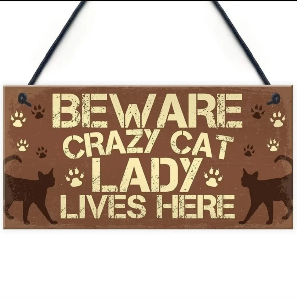 "Beware crazy cat lady lives here" wooden sign Wall decor, picture feline kitty - Picture 2 of 5